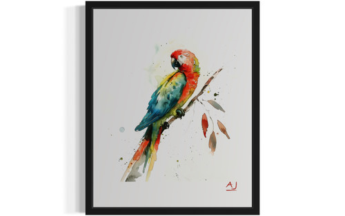 Parrot Art  Print  Poster