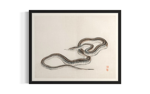 Snake Art Print Poster 1