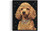 Poodle Pimp Art Print Poster