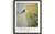 Chiffchaff Art Print Poster