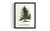Alaska Tree wall art poster print