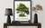 Delaware Tree Wall Art Print Poster