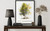 New Hampshire Tree Wall Art Print Poster