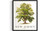 New Jersey Tree wall art poster print