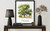 Texas Tree Wall Art Print Poster
