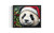 Panda wall art poster print