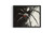 Black Widow Spider wall art poster print