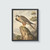 Falcon Vintage Bird Art Print Poster