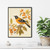 Oriole Vintage Bird Art Print Poster
