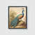 Peafowl Vintage Bird Art Print Poster