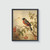 Robin Vintage Bird Art Print Poster