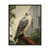 Gyrfalcon Birds Of Prey Art Print Poster