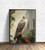 Gyrfalcon Birds Of Prey Art Print Poster