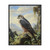 Lanner Falcon Birds Of Prey Art Print Poster