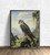 Lanner Falcon Birds Of Prey Art Print Poster