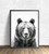 Brown Bear Art Print Poster