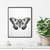 Moth Art Print Poster