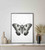 Moth Art Print Poster