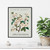 Apple Blossom Flower Art Print Poster