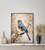 Bluebird Art Print Poster