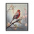 House Finch Art Print Poster