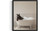 Horse in Bathtub Art Print Poster, Bathroom