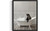 Seal in Bathtub Art Print Poster, Bathroom