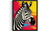 African Zebra Art Print Poster