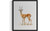 Gazelle  Art Print  Poster