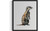 Mongoose Art Print Poster
