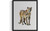 Mountain Lion  Art Print  Poster
