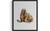 Walrus  Art  Print  Poster