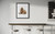 Walrus  Art  Print  Poster