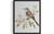 Northern Mockingbird Art Print Poster