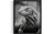 Komodo Dragon Art Print Poster