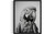 Macaw Art  Print Poster