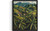 Coffee Plantations Art Print Poster