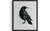 Crow Art Print  Poster