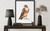Falcon Art  Print Poster