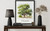 Texas Pecan Tree Art Print Poster