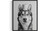 Siberian Husky Art Print Poster, Toilet