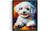 Bichon Frise Colorful Abstract Art Print Poster