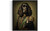 Cocker Spaniel General Art Print Poster