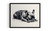 French Bulldog Art Print Poster 4