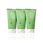 Innisfree Green Tea Foam Cleanser Set