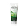 Deoproce Natural Perfect Solution Cleansing Foam Green Tea 170g