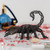 Scorpio Zodiac Decor for Astrology Enthusiasts