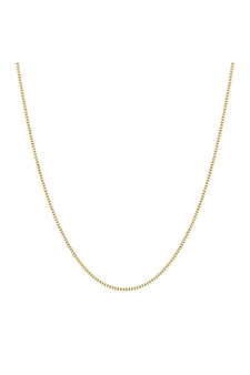 Ania Haie Gold Box Chain Necklace N068-02G