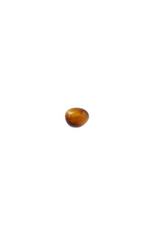 PDPAOLA Tiger Eye Gravity Single Ear Piercing