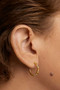 PDPAOLA Rainbow Hoop Earrings AR01-B96-U